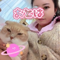 自分が正しいと信じて疑わない