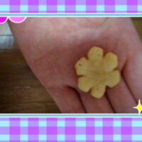 出勤しました♪