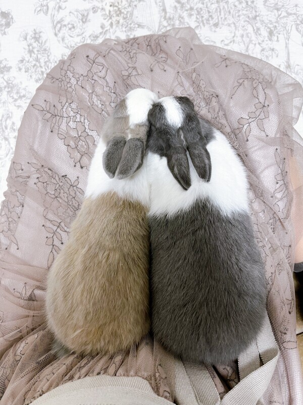 ありがとうございました🍀