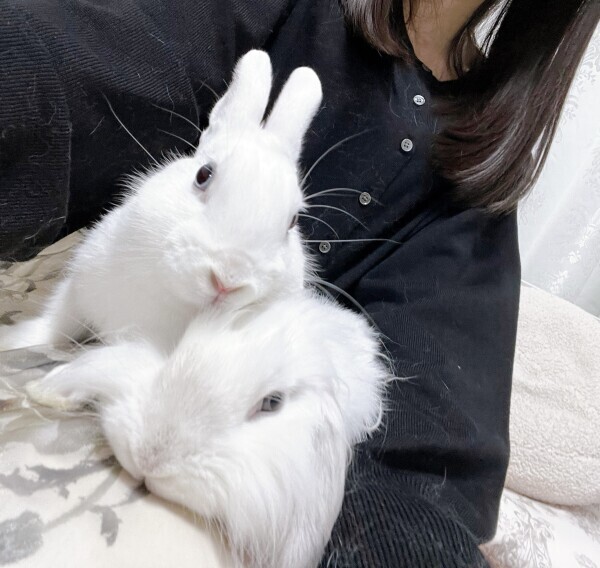 明日お休みです🌿