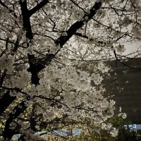さや