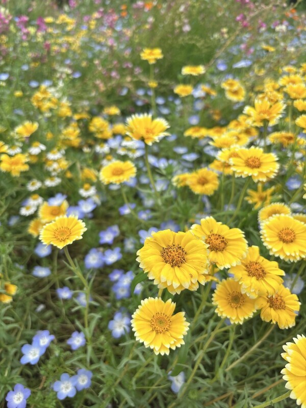 5/17 出勤します♡