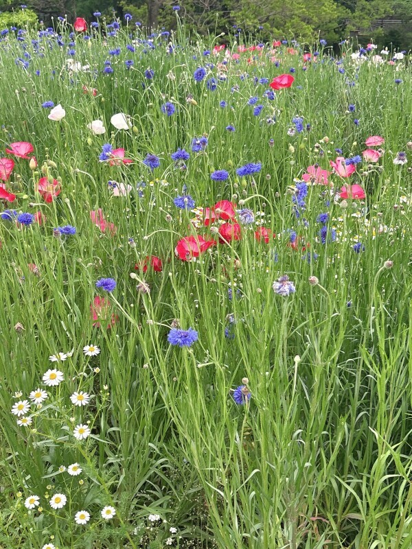 明日出勤します♡
