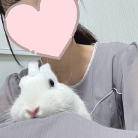 うるは