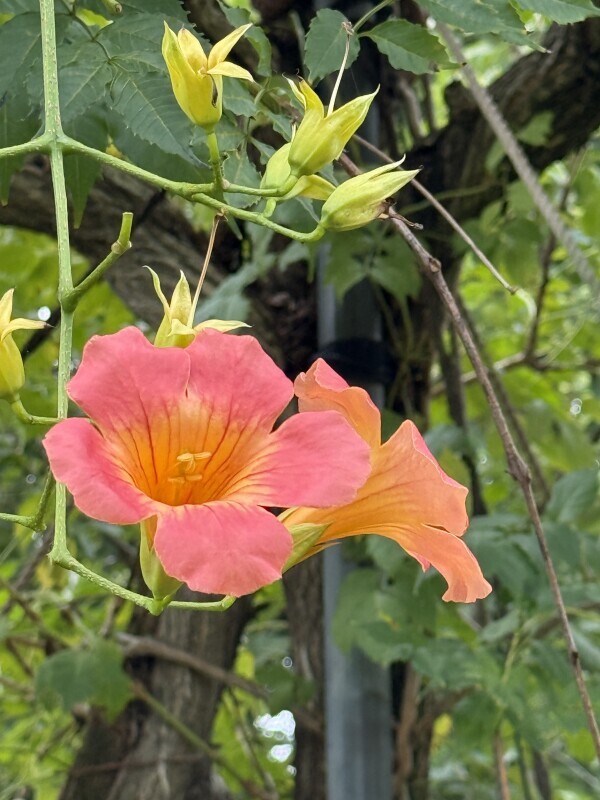 明日お休みです💭