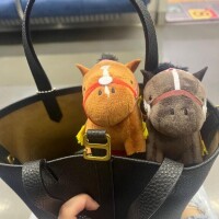 体験入店☆しおり☆