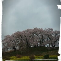 栄子