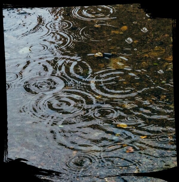雨(*>∀<*)ﾉ