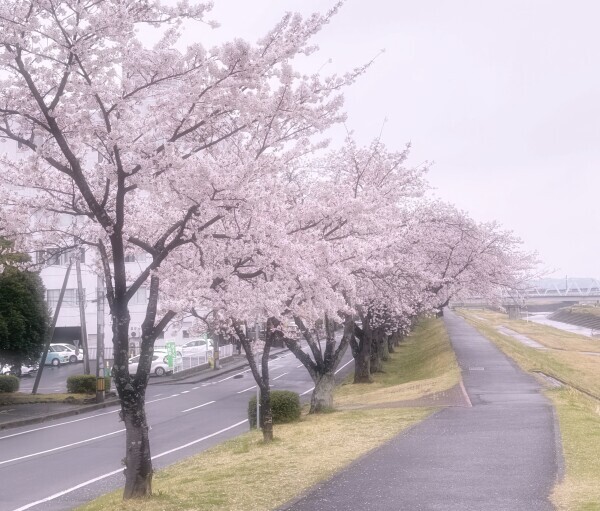 こんばんは♪
