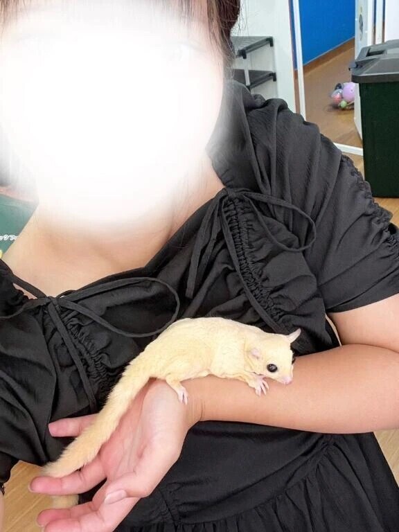 💌　本指様