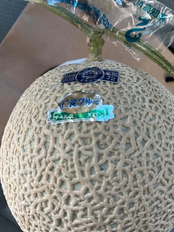 🤍【お礼写メ日記】🤍