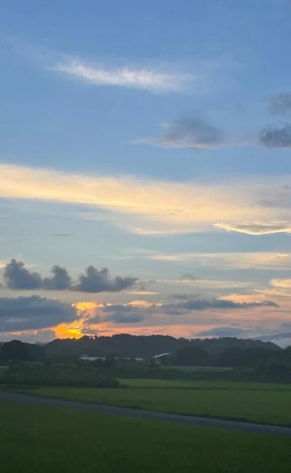 ⚠️お願い⚠️