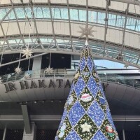 ゆりか※フェラ職人＆AF可能