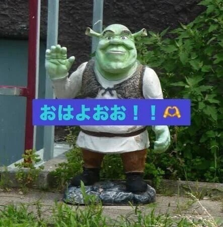 おはようのシュレックくん！！🤤