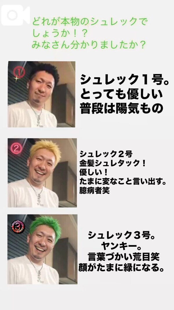 本物のシュレックはどれでしょう！🌟😇