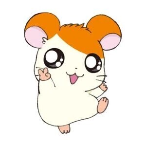 とっとこー走るよハムタロー🐀