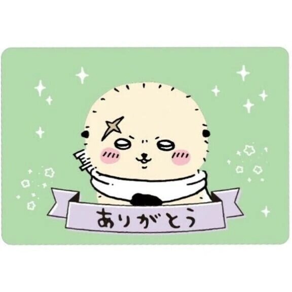 昨日も完売御礼♡