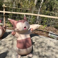 おはよ～?