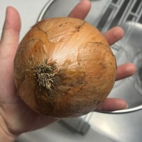 ごめんね