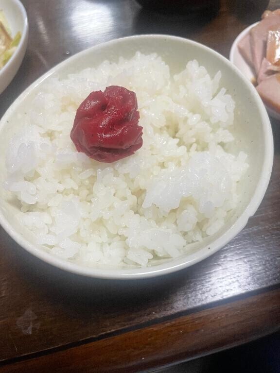 これ一択?