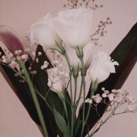 お知らせとお願い