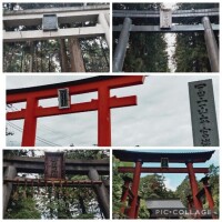 少し前だけど