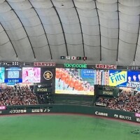 明日から…