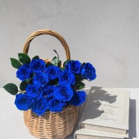 ?8月のお礼?