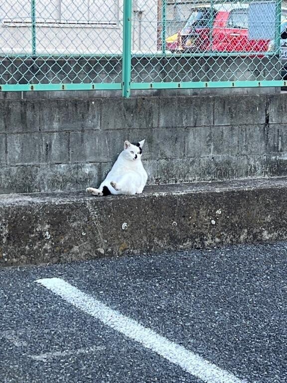 出勤です