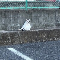 出勤です