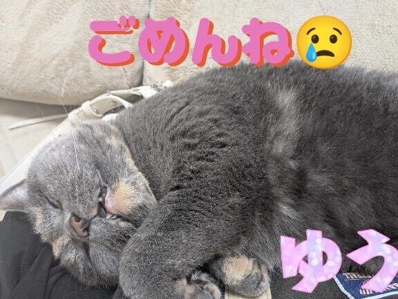 m(_ _)m