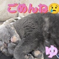 m(_ _)m