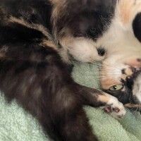 ?朝からイチャイチャ?