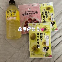 明日もいるよ???