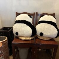 ごめんなさい??