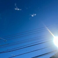 今日から！！！