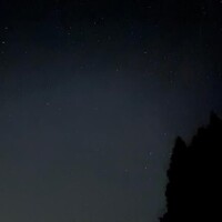 またまた?