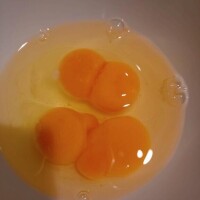 おはよう