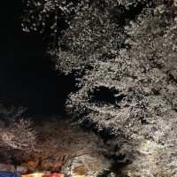 15時から
