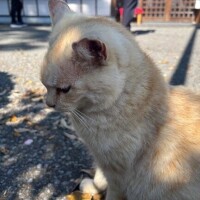るな