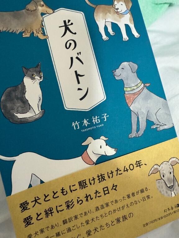 来週の出勤のお知らせ