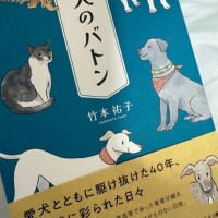 来週の出勤のお知らせ