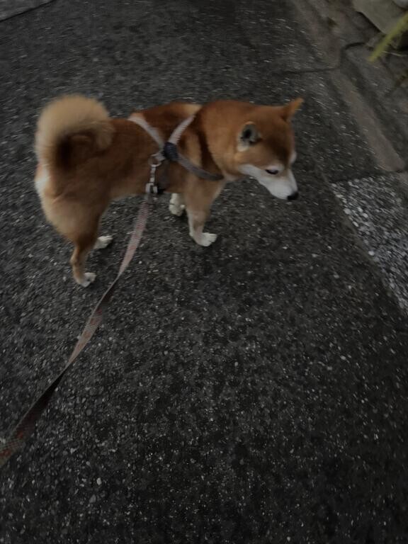 空き枠?