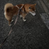 るな