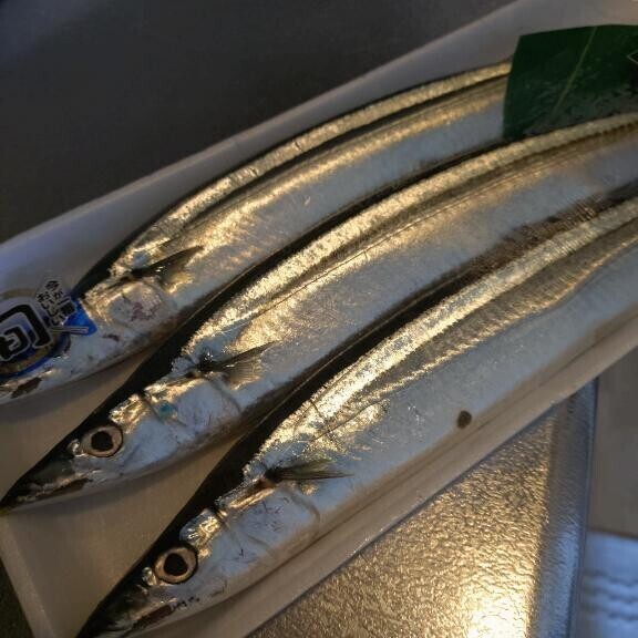 新物