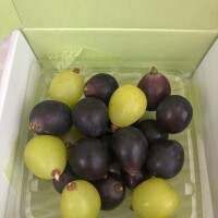 明日ラスト「1枠」?