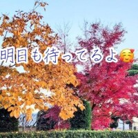 もうハロウィン?の季節?