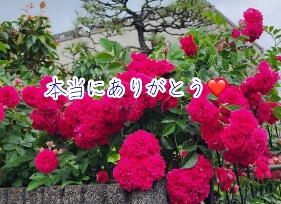 のの?楽しい時間をありがとうお礼日記????
