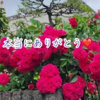 のの?楽しい時間をありがとうお礼日記????