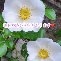 のの